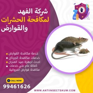 شركة مكافحة قوارض الفروانية