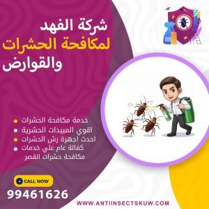 شركة مكافحة حشرات القصر