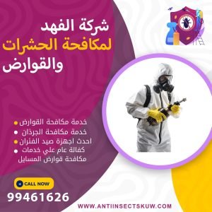 شركة مكافحة قوارض المسايل