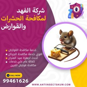 شركة مكافحة قوارض القرين