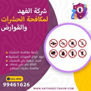 شركة مكافحة حشرات المطلاع