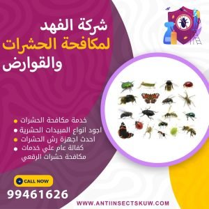 شركة مكافحة حشرات الرقعي