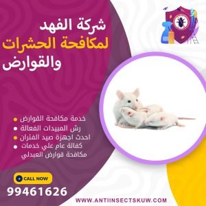 شركة مكافحة قوارض العبدلي