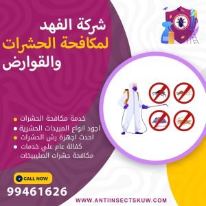 شركة مكافحة حشرات الصليبيخات