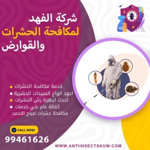شركة مكافحة حشرات صباح الاحمد