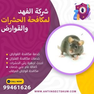 شركة مكافحة قوارض المرقاب