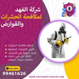 شركة مكافحة حشرات المرقاب