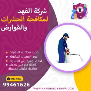 شركة مكافحة حشرات المسيلة