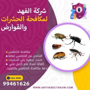 شركة مكافحة الخنافس بالكويت