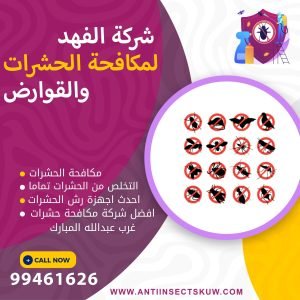 شركة مكافحة حشرات غرب عبدالله المبارك