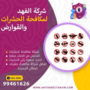 شركة مكافحة حشرات خيطان الجديدة