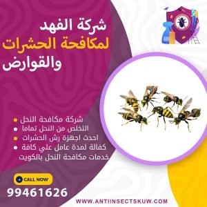 شركة ازالة النحل بالكويت