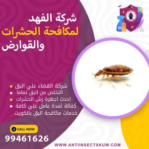 شركة القضاء علي البق بالكويت