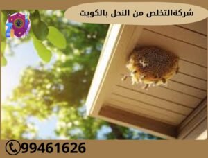 شركة التخلص من النحل بالكويت