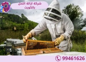 شركة ازالة النحل بالكويت
