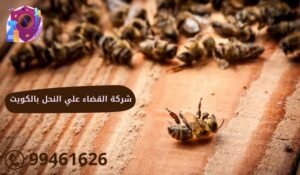 شركة القضاء علي النحل بالكويت