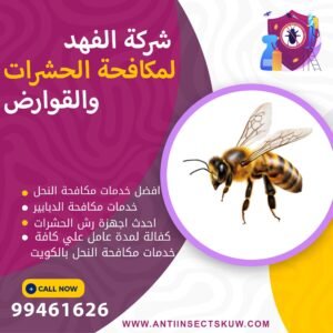 أفضل شركة مكافحة النحل بالكويت