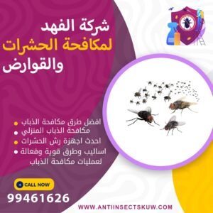 أفضل طرق مكافحة الذباب