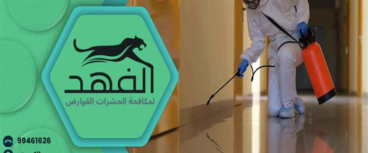 شركة مكافحة حشرات مكافحة الحشرات