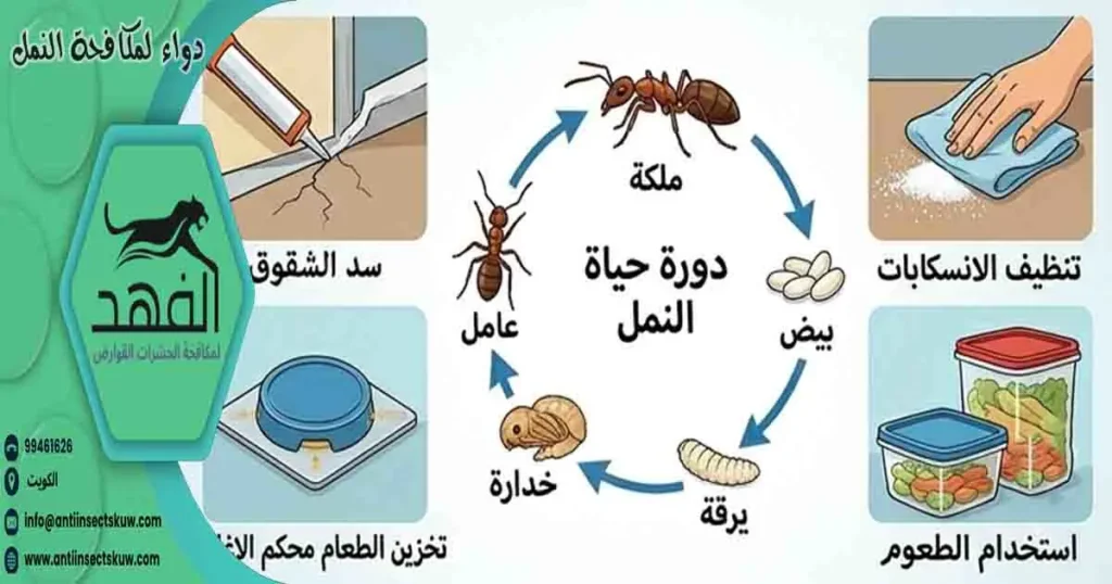 دواء لمكافحة النمل
جل لمكافحة النمل
جل مكافحة النمل