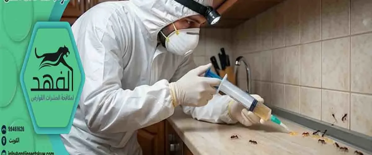دواء لمكافحة النمل جل لمكافحة النمل جل مكافحة النمل