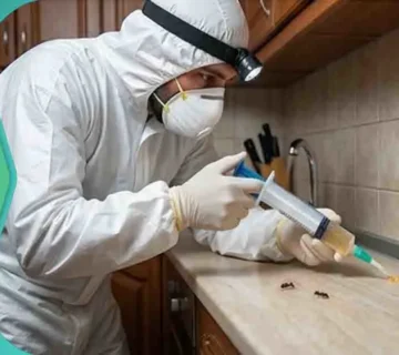دواء لمكافحة النمل جل لمكافحة النمل جل مكافحة النمل